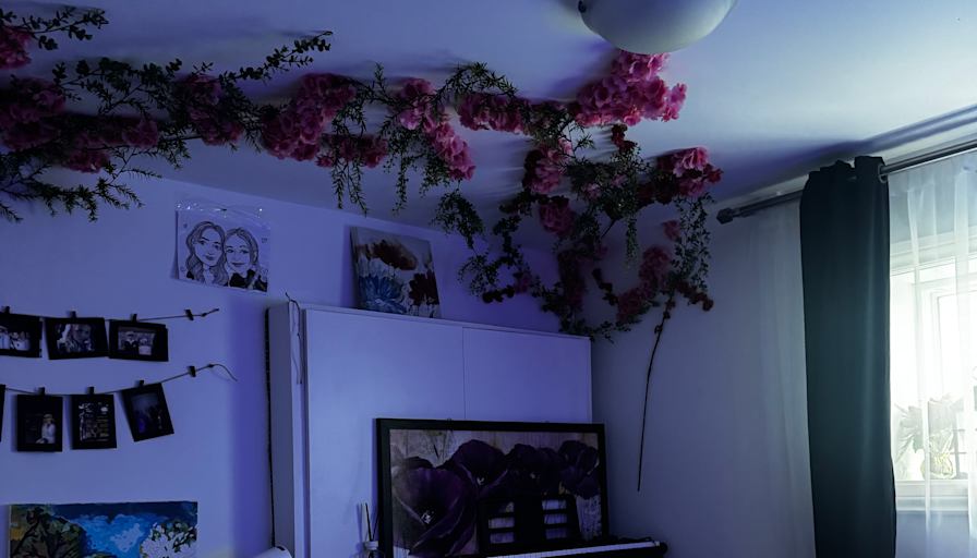 Anastasia's room