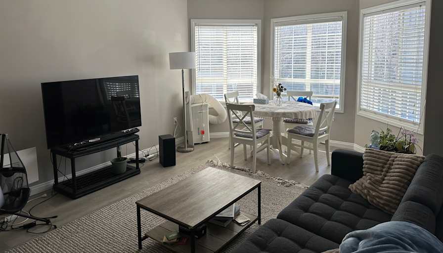 Elan's room