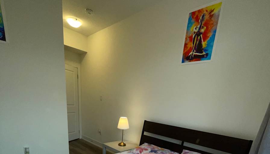 Meisam Rostaminia's room