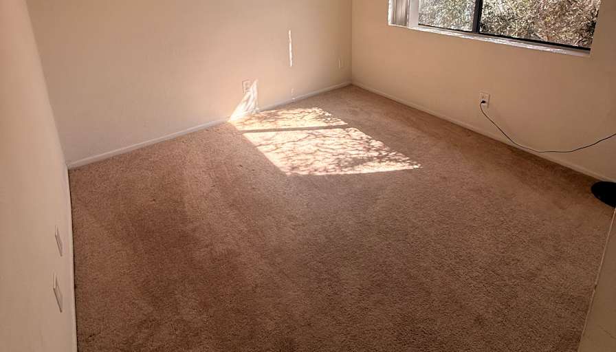 Nik Shaw's room