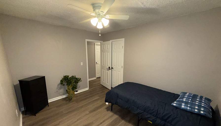 Lioness's room
