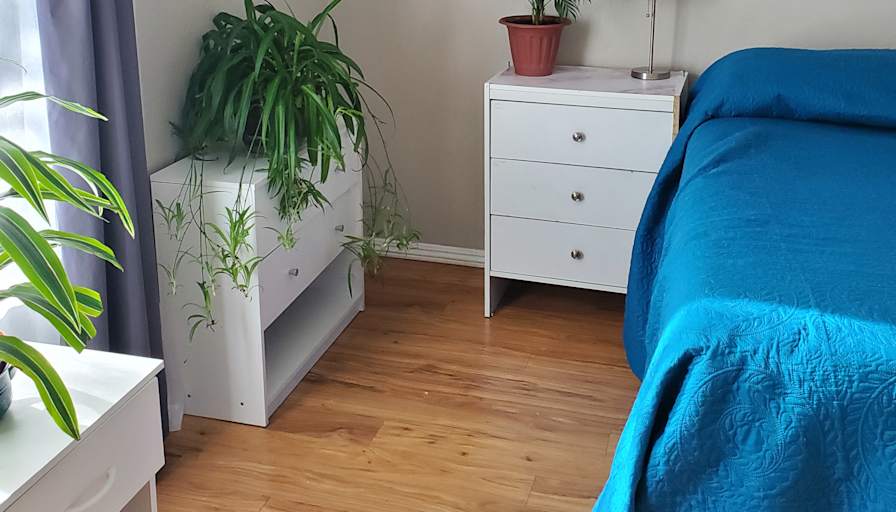 Cindi's room