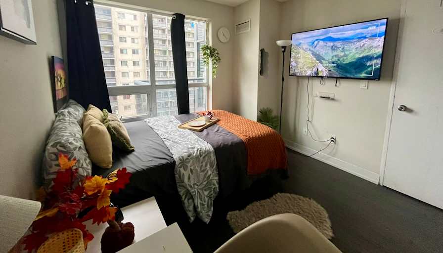 Alona's room