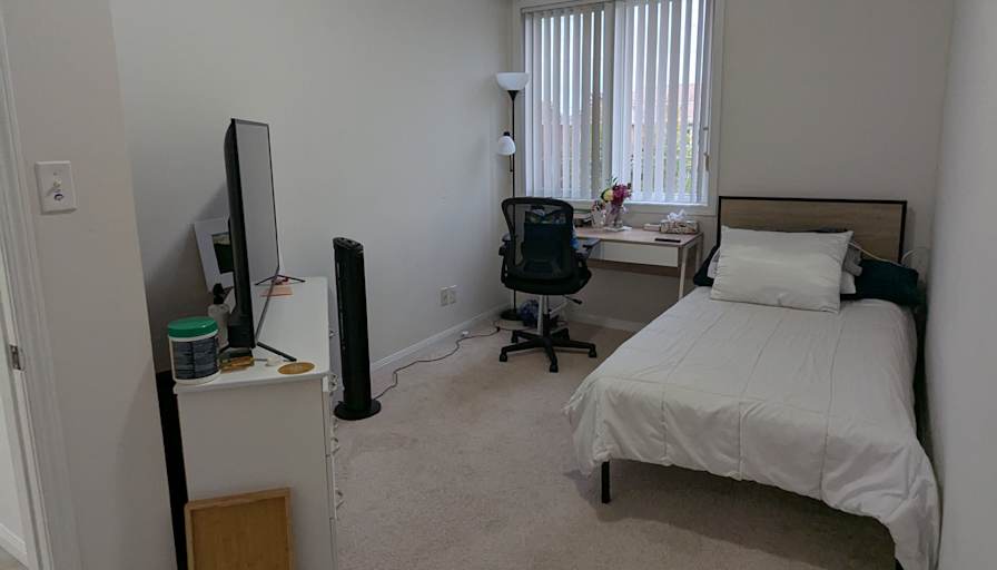 Nemo's room