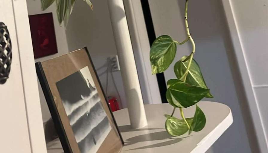 Louis's room