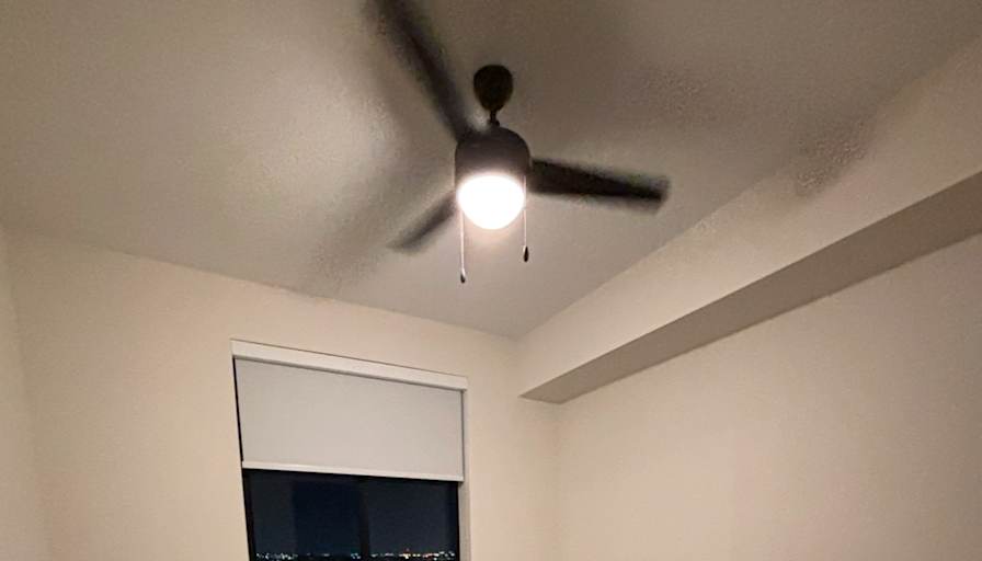 Lauren's room