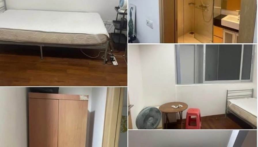 MLrental's room