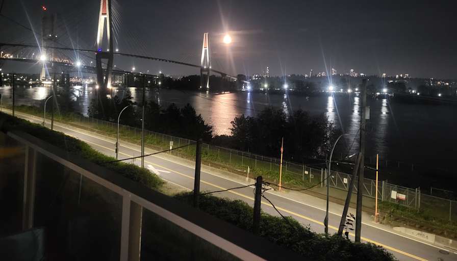 Shirley-anne Elmourne's room