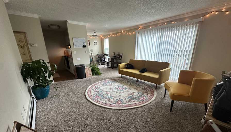 Alyssa's room