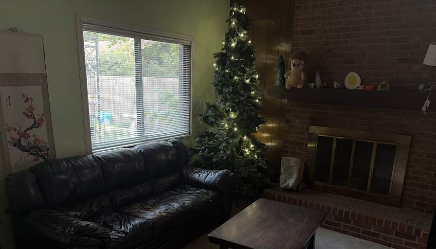 David's room