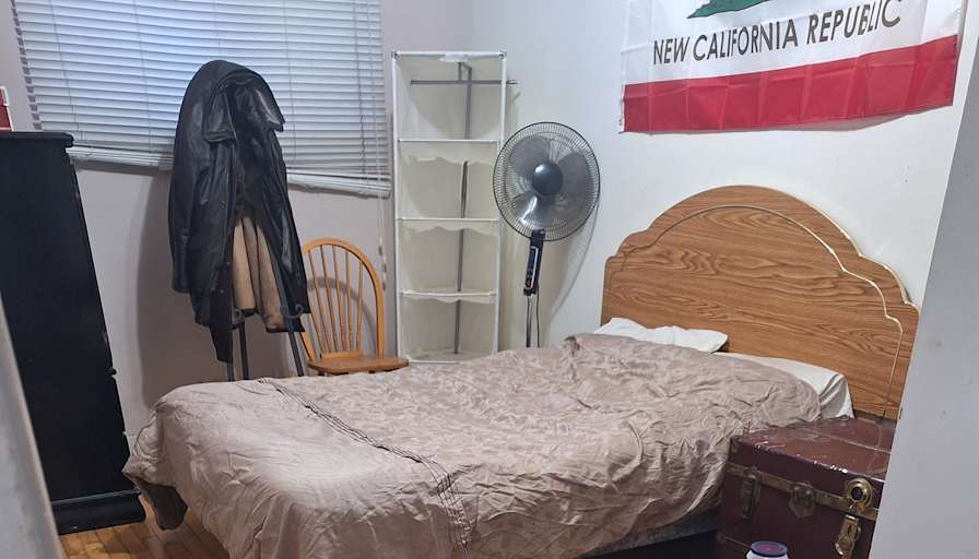 Dino's room