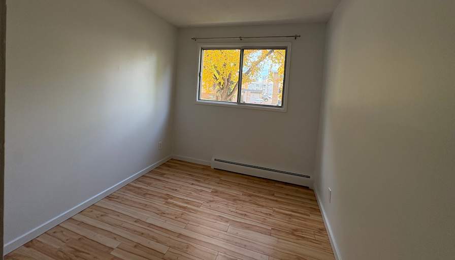 Mehedi's room