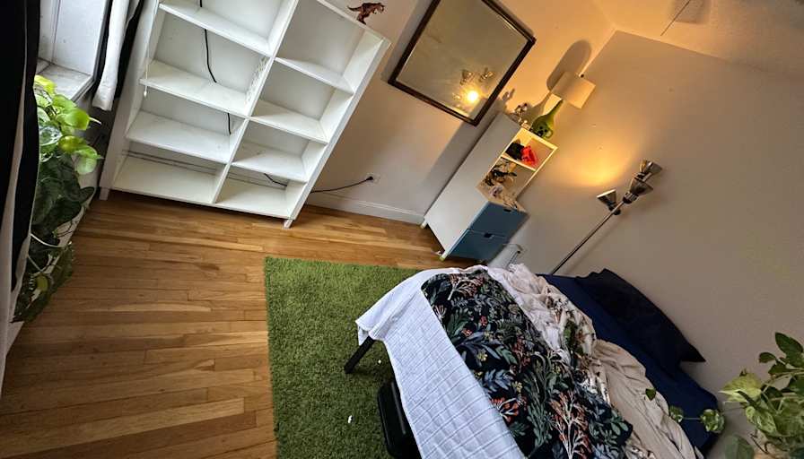 Abigail's room