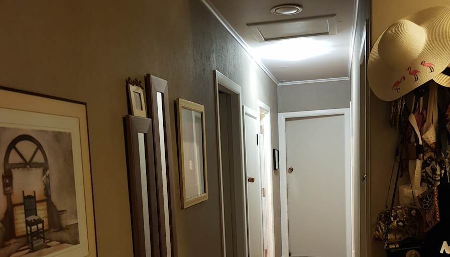 Jane's room
