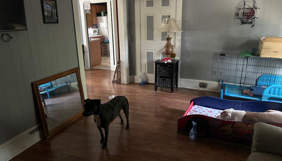 Ismael Vazquez's room
