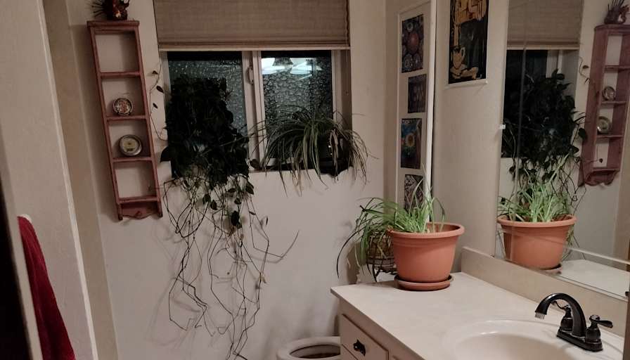 Rachel's room