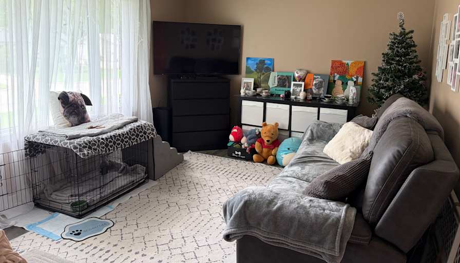 Shannon's room