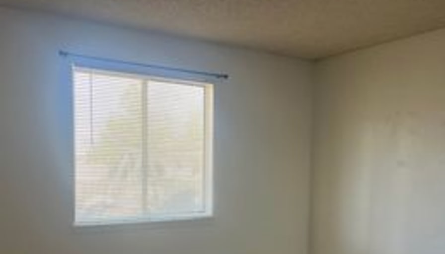 Alexis's room