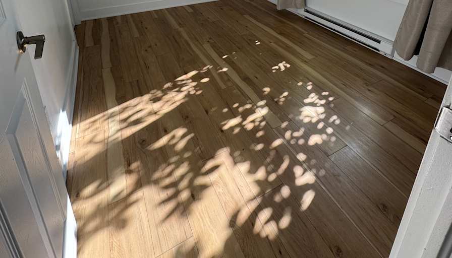 Mary's room