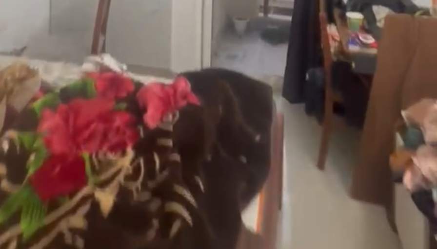 Vikas's room