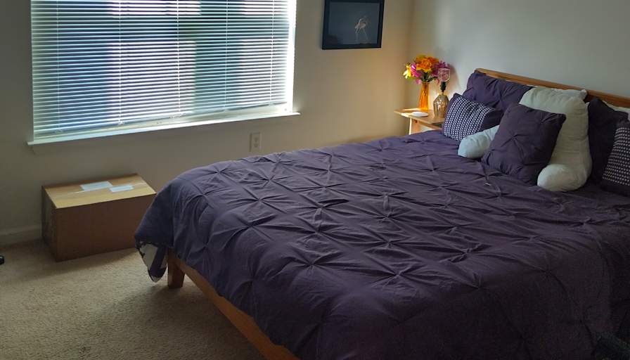 Jayne's room