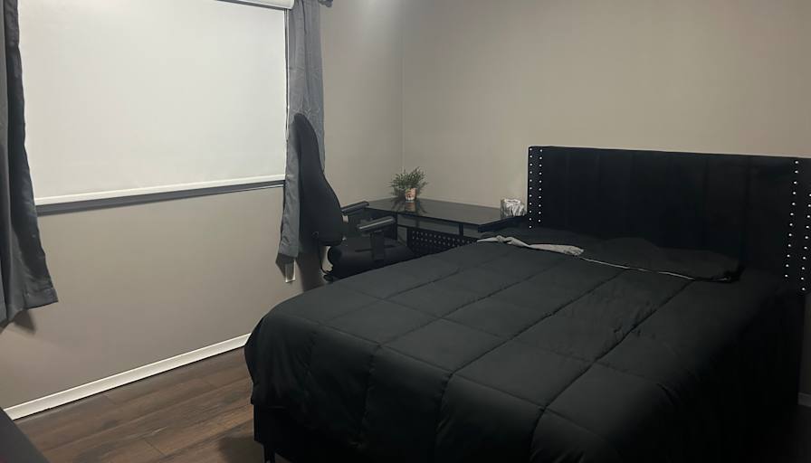 Shelly's room