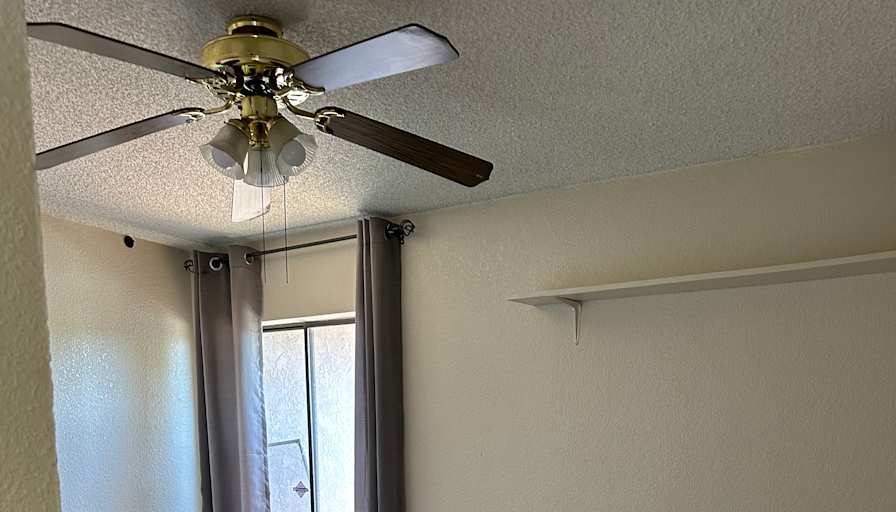 Alejandra  Chavez's room