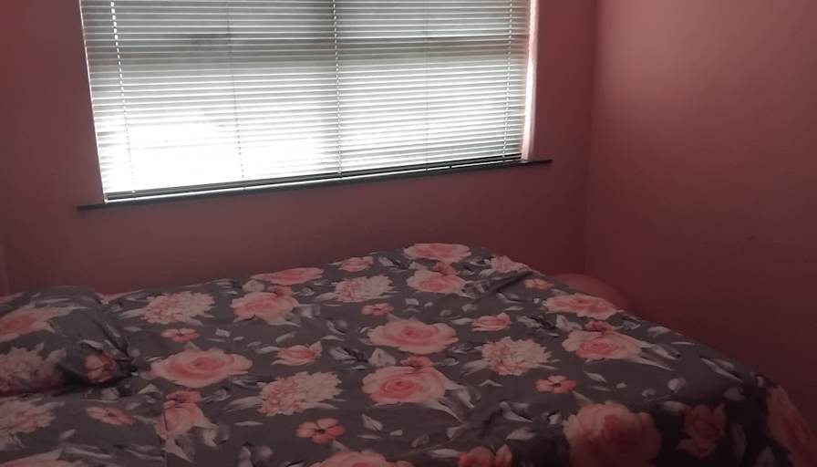 Craig's room