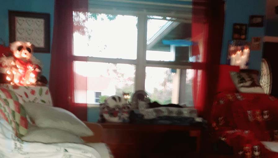 Kevin Kokoska's room