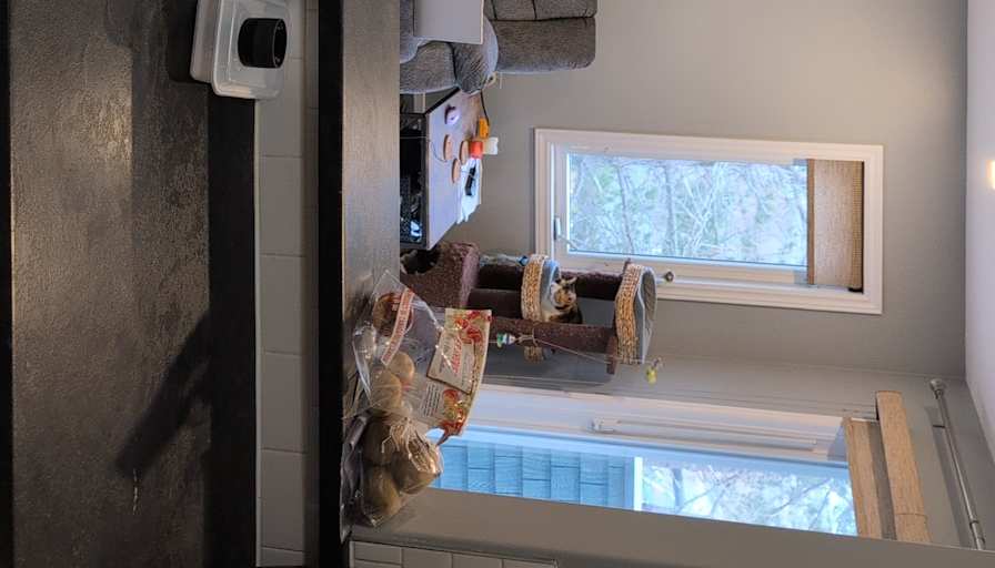 James's room