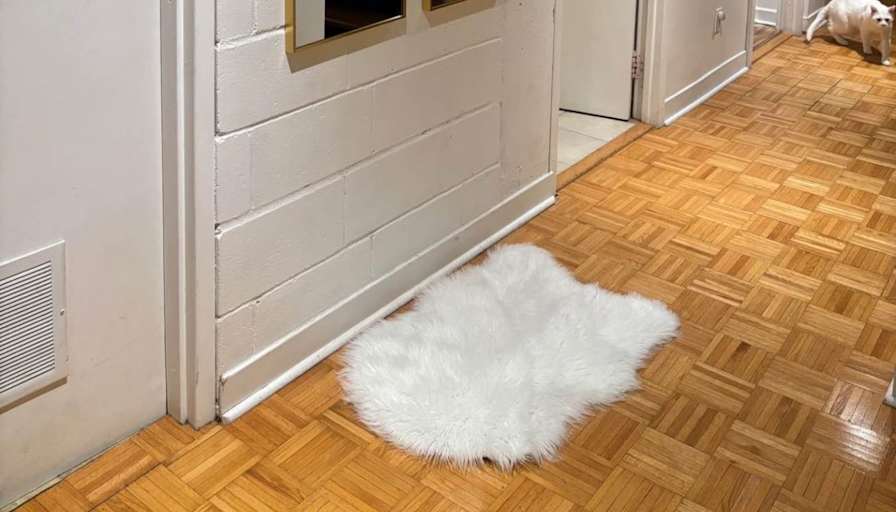 Anthony's room