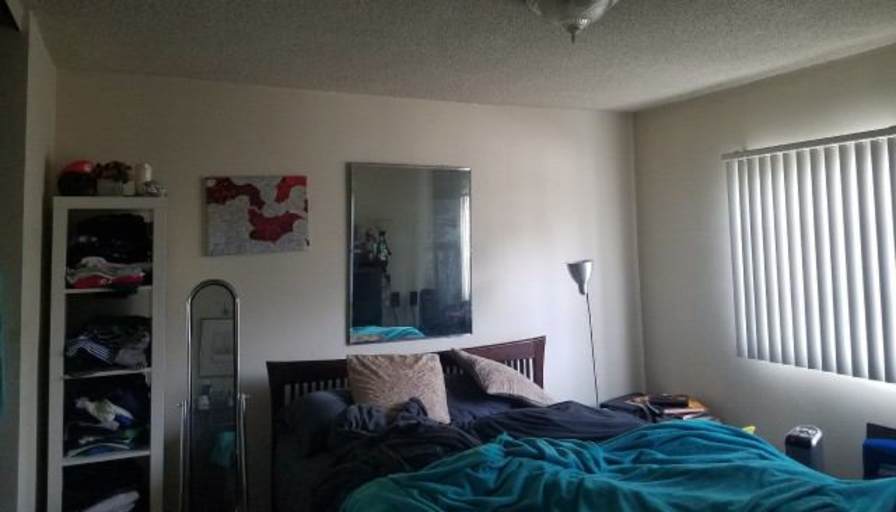 Robert's room