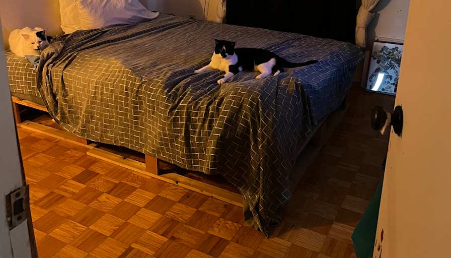 Katie's room