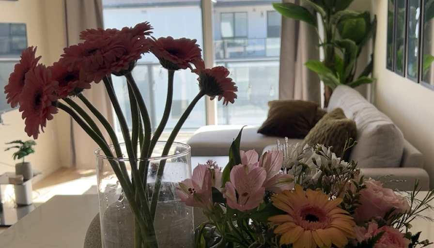 Natasha's room