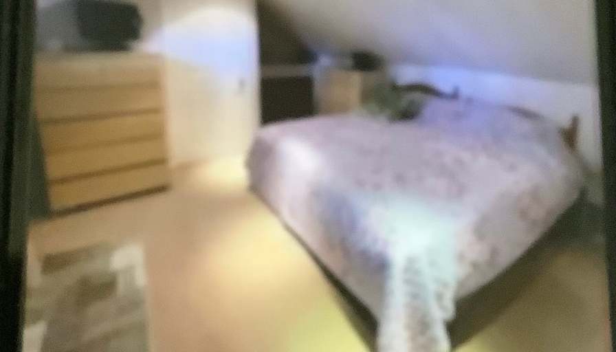 Pamela's room