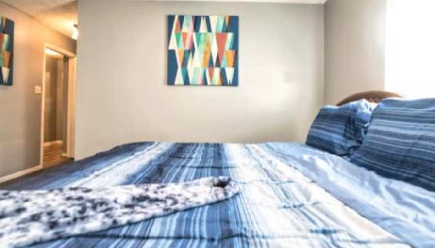 Stasha's room