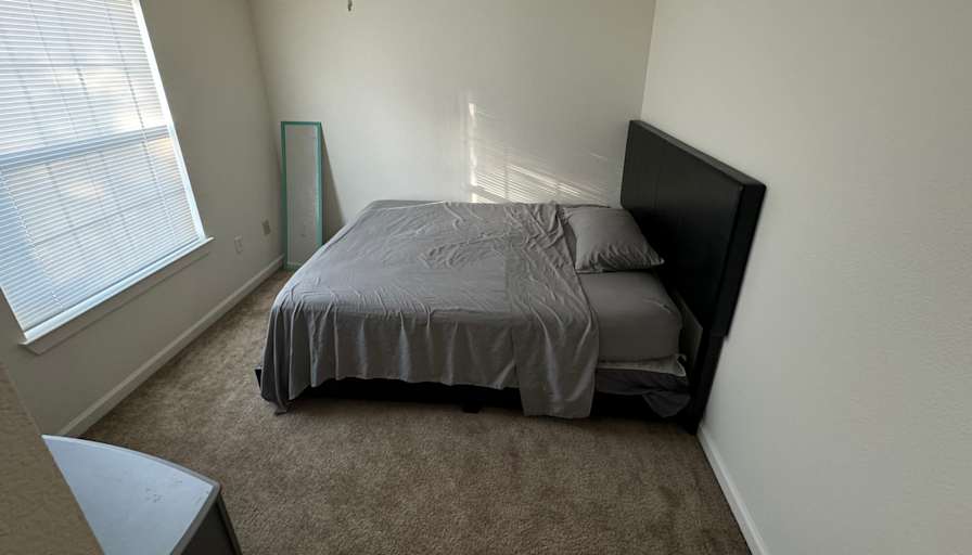 Anthony's room