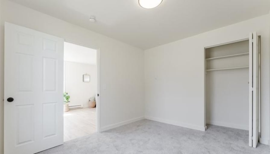 Gray's room
