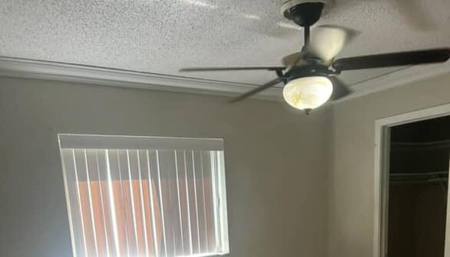 Chase's room