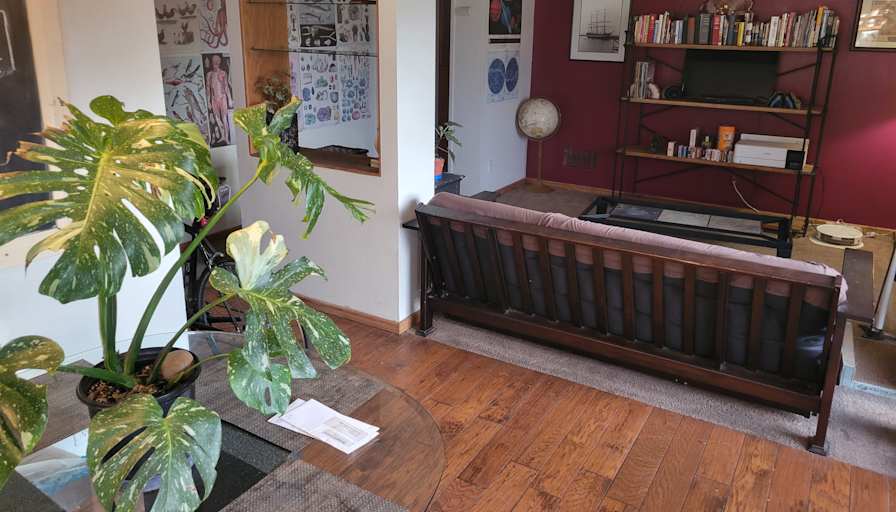Bailey's room