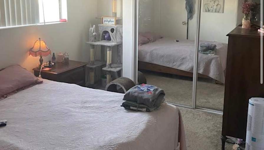 Libbi's room