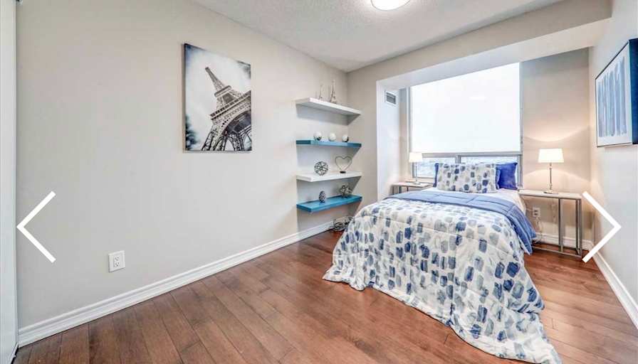 Shiggs's room