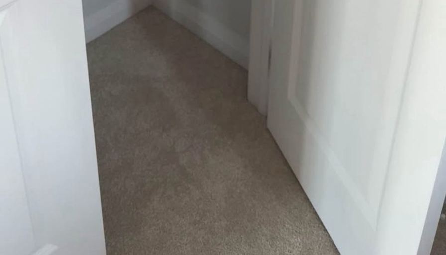Theresa's room