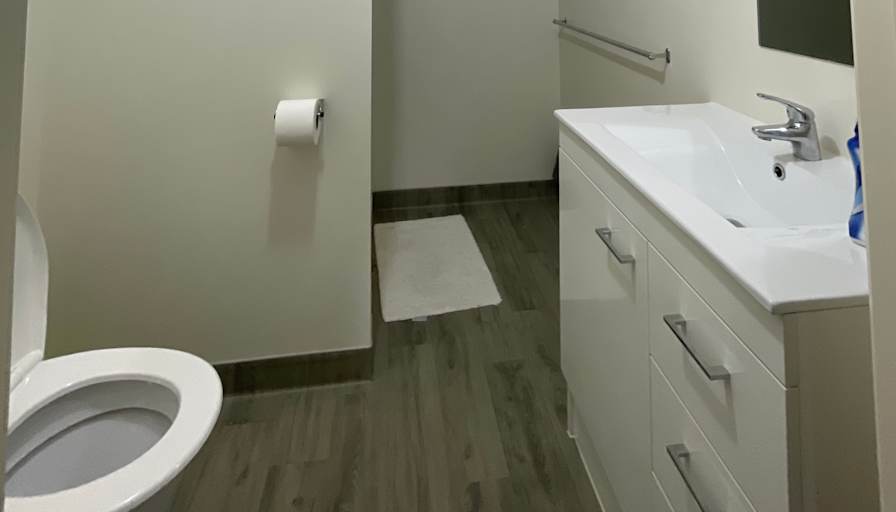 Furnished room with ensuite in a house · Ethel Benjamin Place, Dunedin North, Otago 9016-1