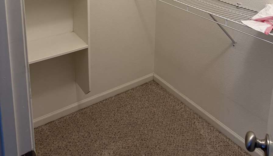 Sonja's room