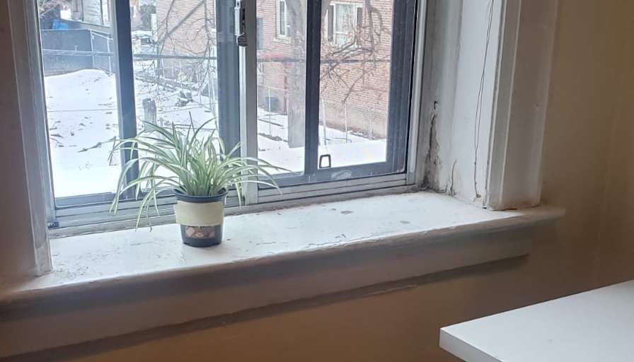 Danielle Oswald's room