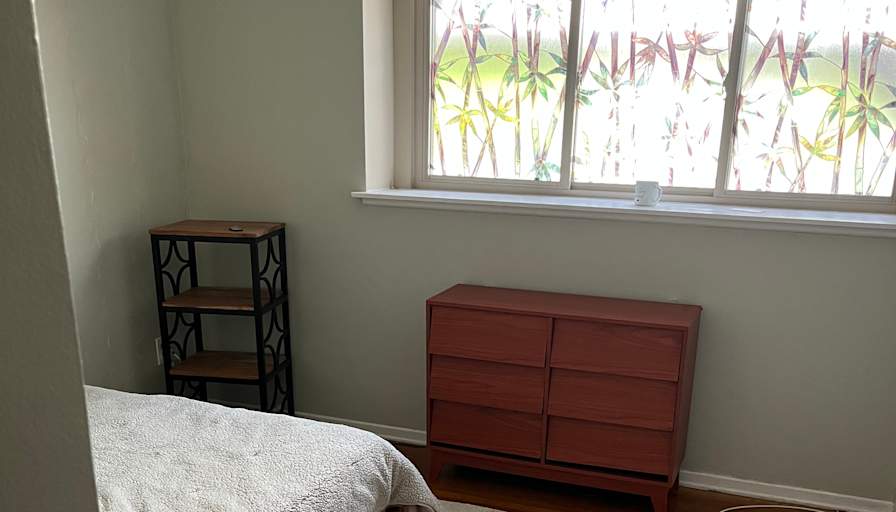 Demetri's room