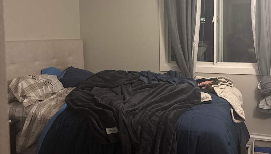 Jorja's room