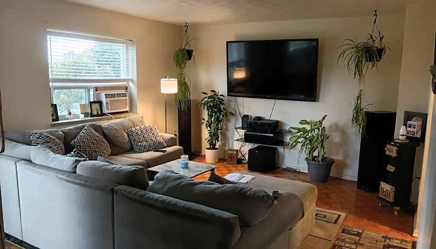 Daniel's room
