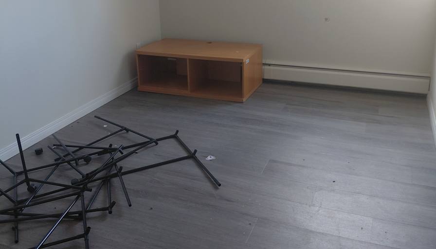 Janelle's room
